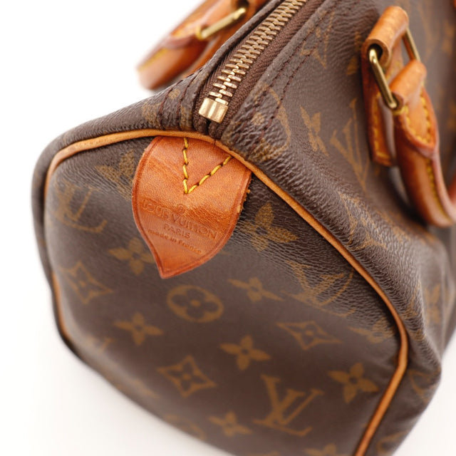 De Speedy 25 van Louis Vuitton