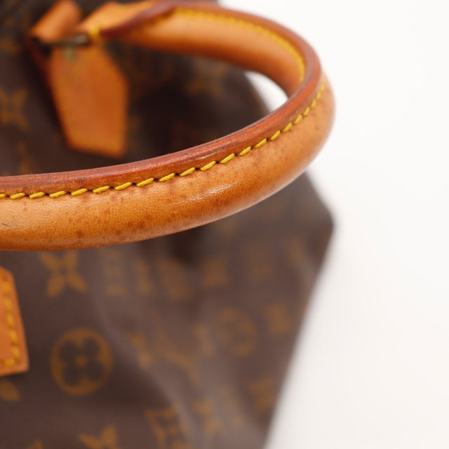 De Speedy 25 van Louis Vuitton