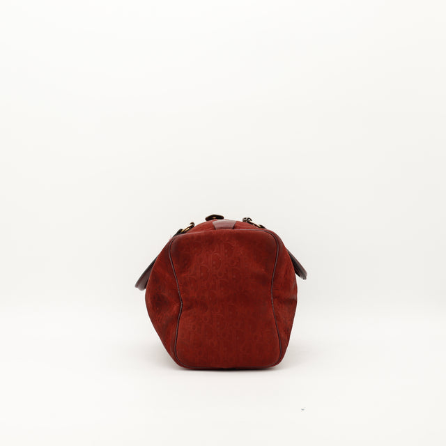 Le Boston Christian Dior Suede