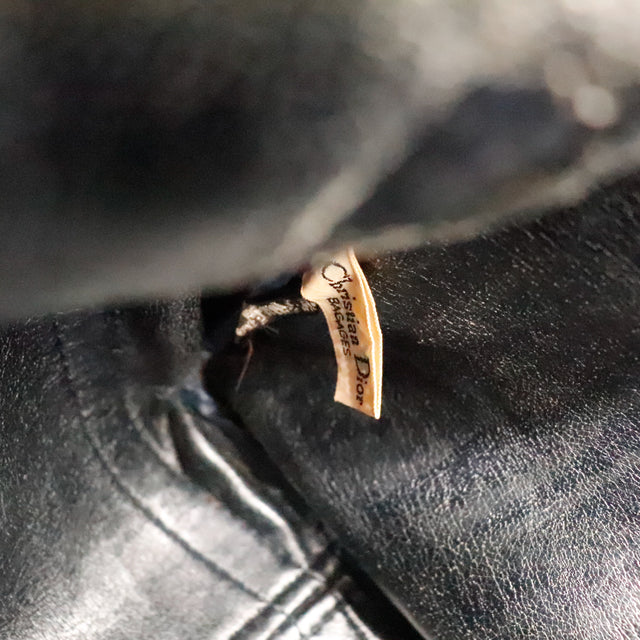 Le Boston Trotter Dior