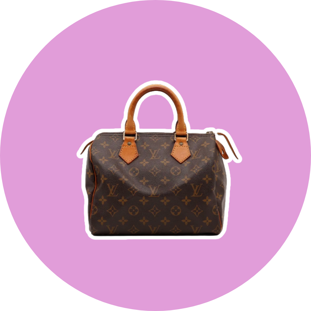 Speedy 25 Louis Vuitton