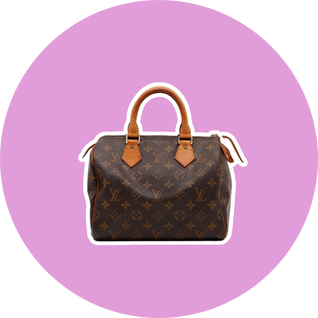 Speedy 25 Louis Vuitton