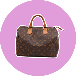 speedy louis vuitton