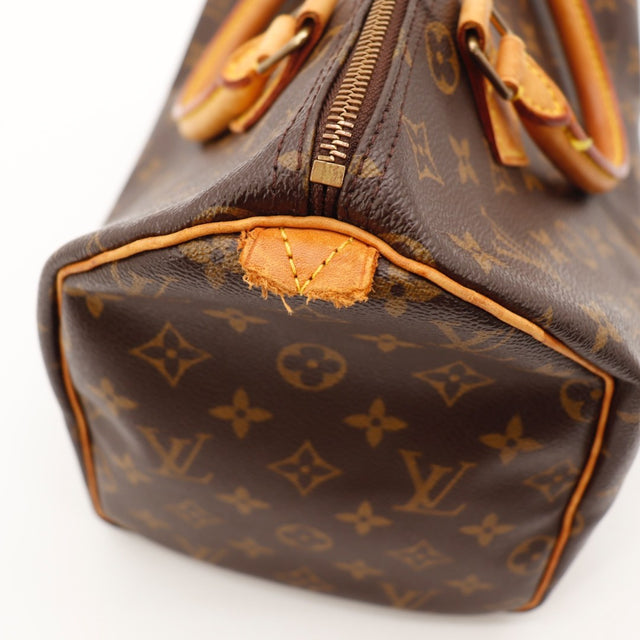 Die Speedy 30 Louis Vuitton