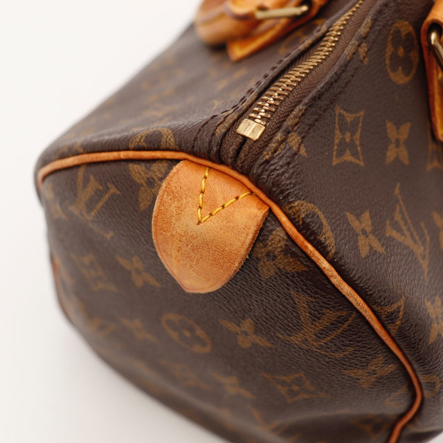 Le Speedy 30 Louis Vuitton