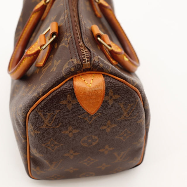 Le Speedy 25 Louis Vuitton
