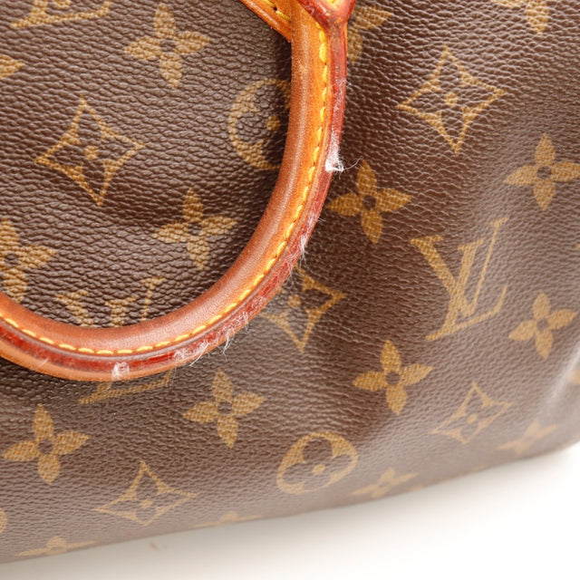 Le Speedy 25 Louis Vuitton