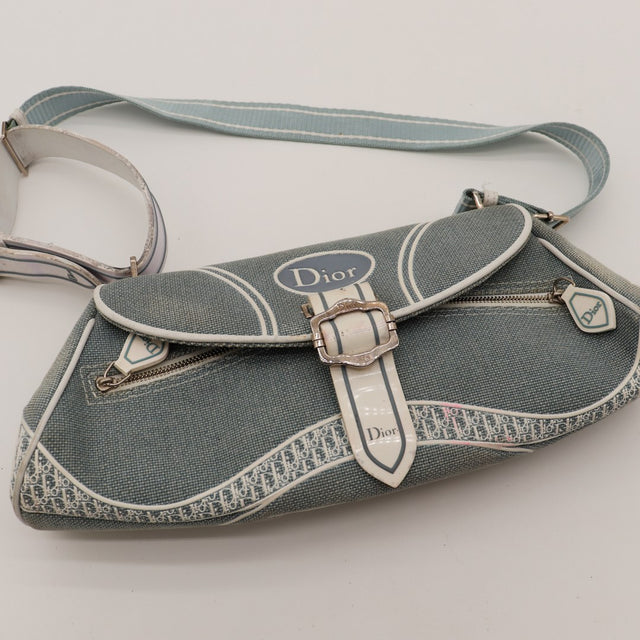 Détail tache rose bande Oblique Dior Trotter gris — AMANA Vintage