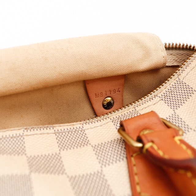 Le Speedy 25 Louis Vuitton