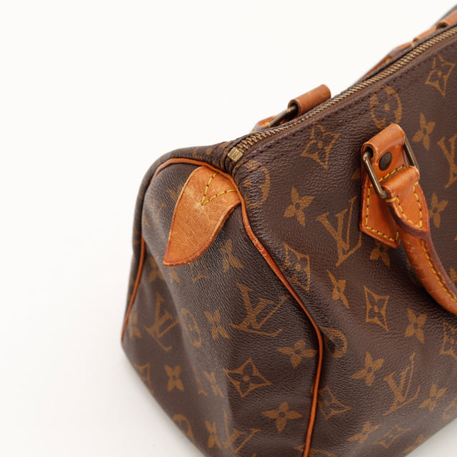 Le Speedy 25 Louis Vuitton