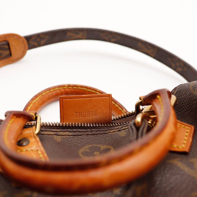 Le Speedy Nano Louis Vuitton