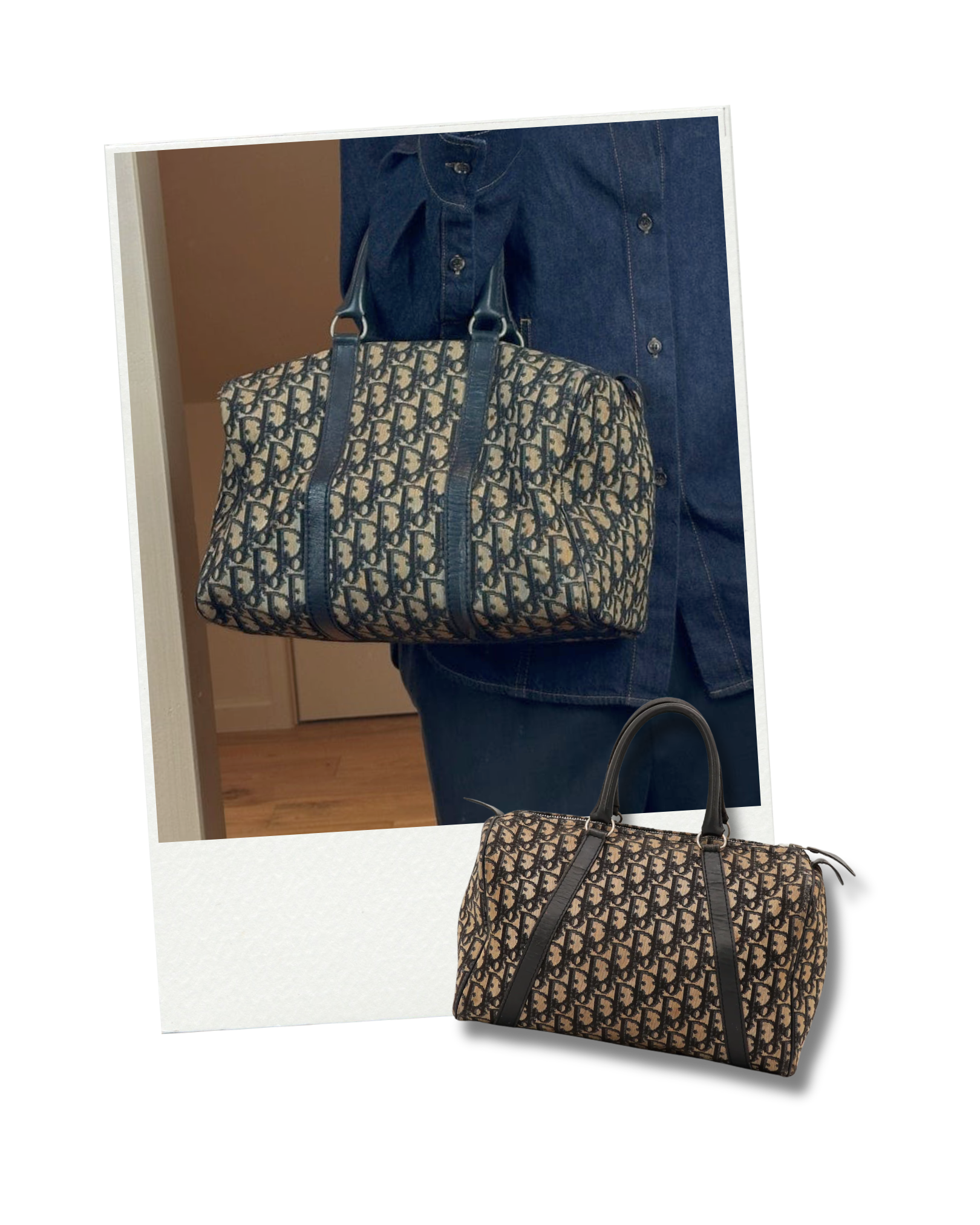 papillon louis vuitton