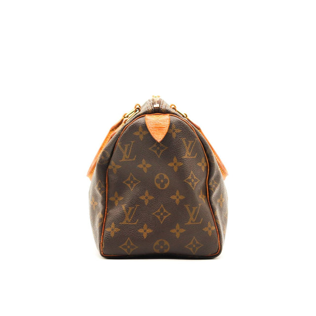 The Speedy 25 Louis Vuitton