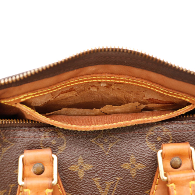 Le Speedy 25 Louis Vuitton