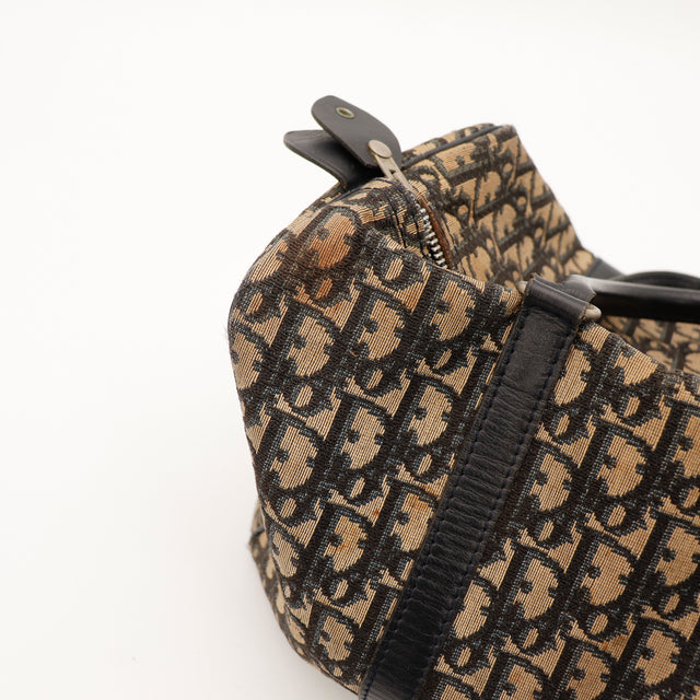 Le Boston Trotter Dior