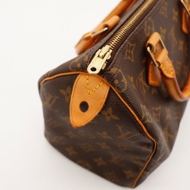 Le Speedy 25 Louis Vuitton